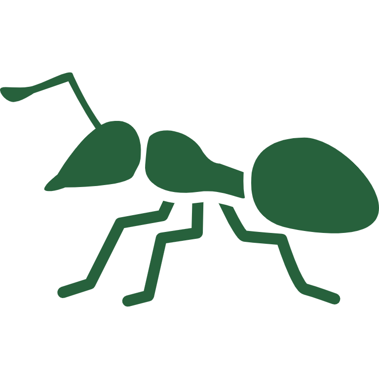 Ants Icon