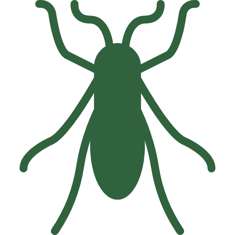 Cockroaches Icon