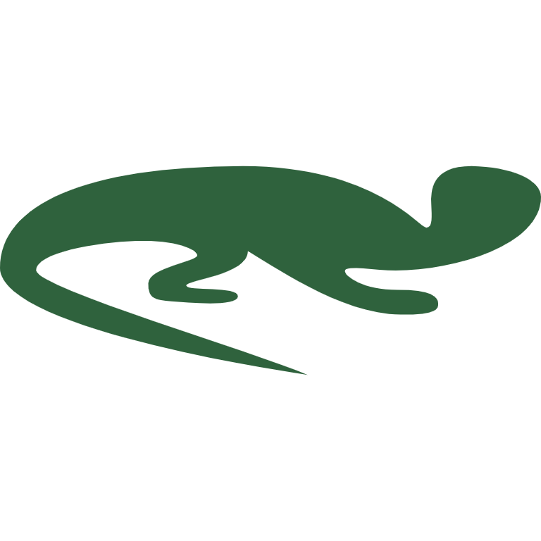 Lizards Icon