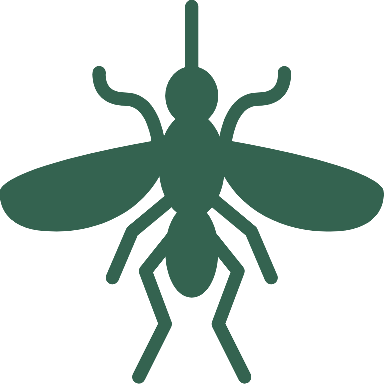 Insects Icon
