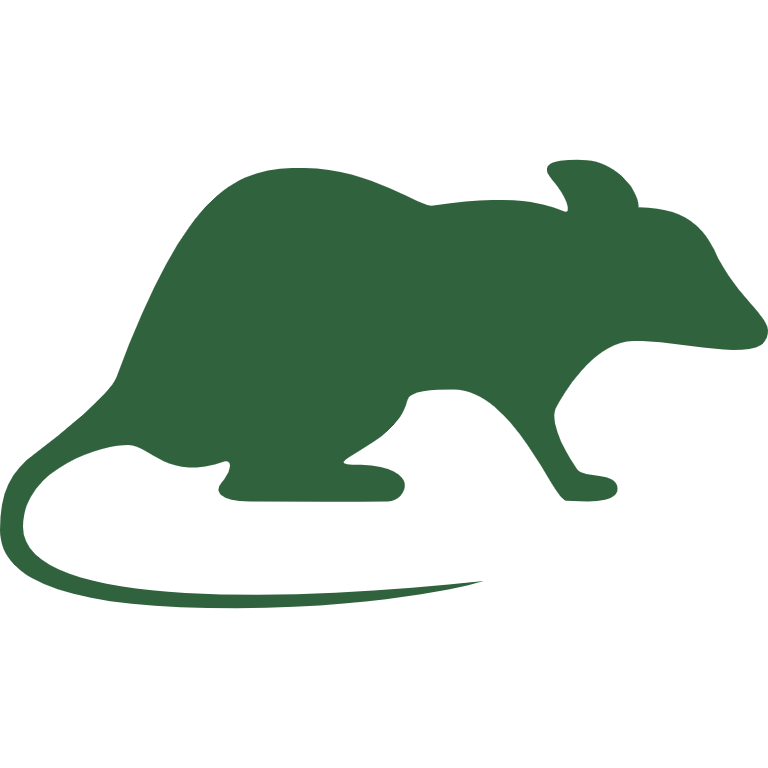 Rats Icon